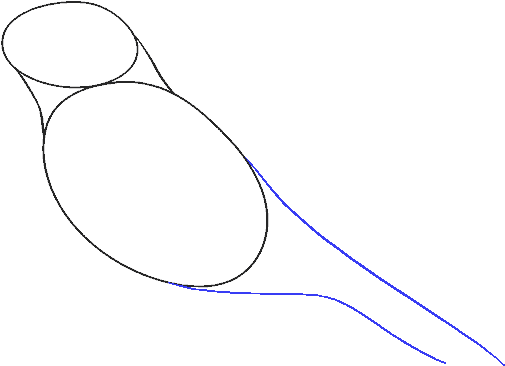 How To Draw Raven - Line Art (678x600), Png Download