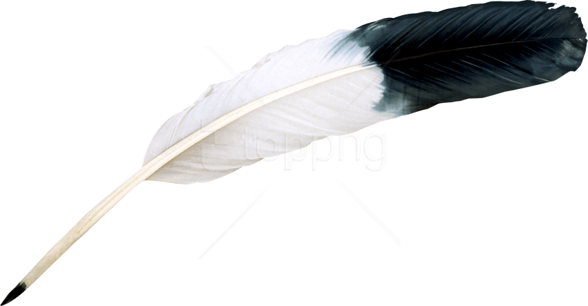 Free Png Download Feather Png Images Background Png - Black And White Feather Png (850x443), Png Download