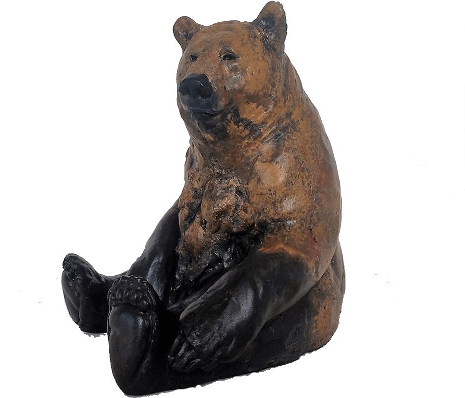 American Black Bear (1000x1000), Png Download