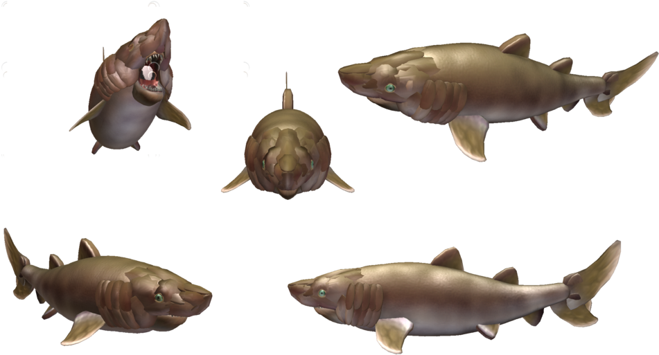 Spore Tiger Shark (1024x640), Png Download