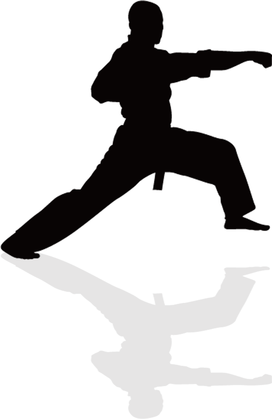 Taekwondo - Silhouette Kung Fu Png (1060x1500), Png Download