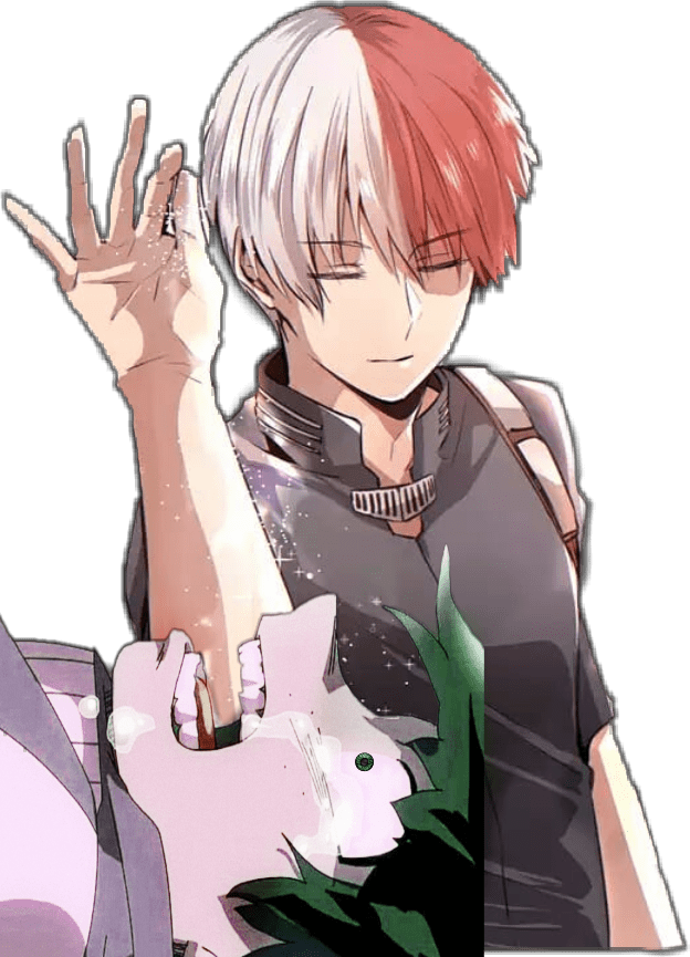 Bnha Deku Todoroki Midoriya Meme - Todoroki And Deku Meme (624x865), Png Download