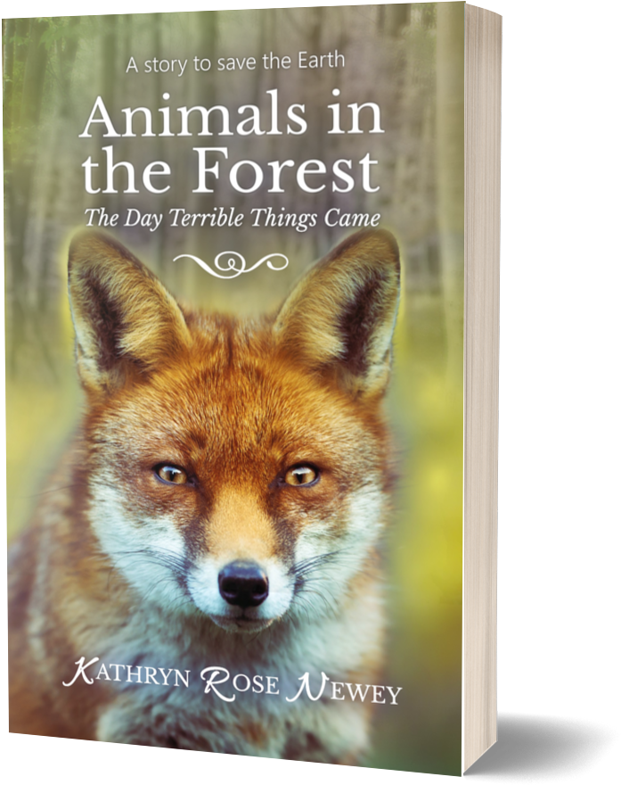 Animals In The Forest - Red Fox (1500x1150), Png Download