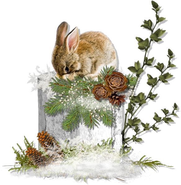 Beatrix Potter, Winter Images, Bunny Rabbit, Forest - Forest Tube Png (600x599), Png Download