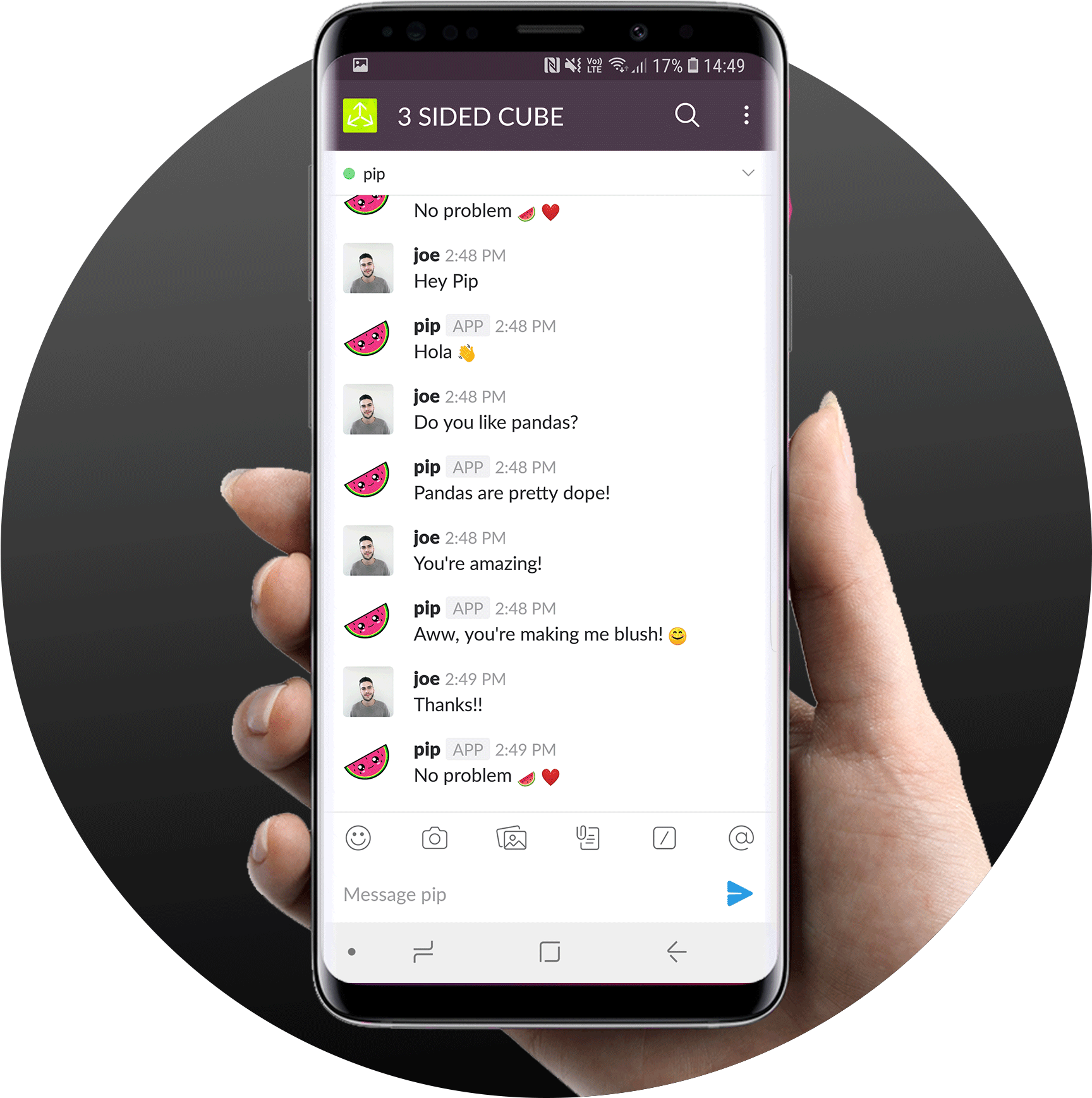 The Watermelon Chatbot For Slack - Iphone (1800x1800), Png Download