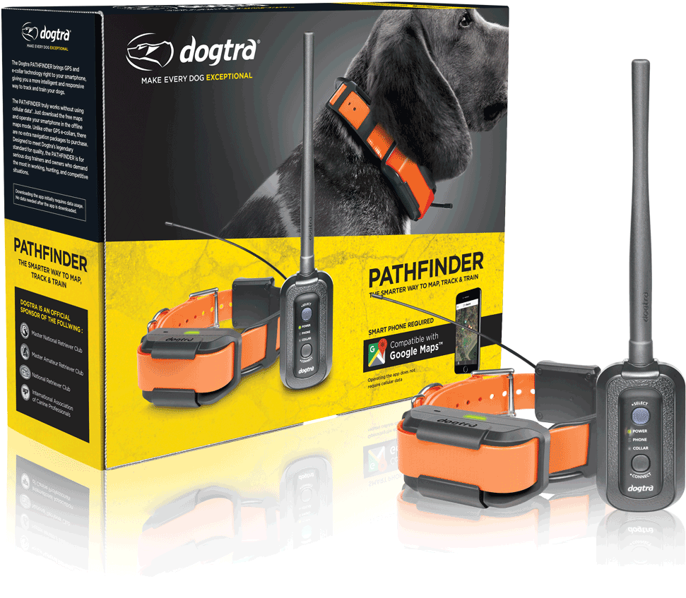 Dogtra Pathfinder User Manual - Rotary Tool (1200x988), Png Download