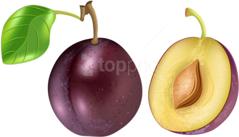 Free Png Plum Transparent Png - Plum Transparent (850x499), Png Download