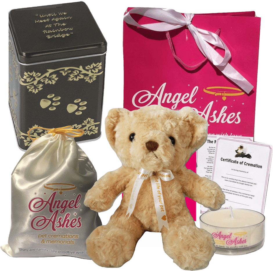 Angel Ashes Teddy - Stuffed Toy (1024x1024), Png Download
