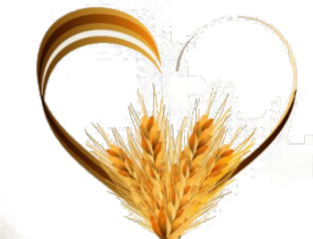 Love Psd Vector (640x480), Png Download