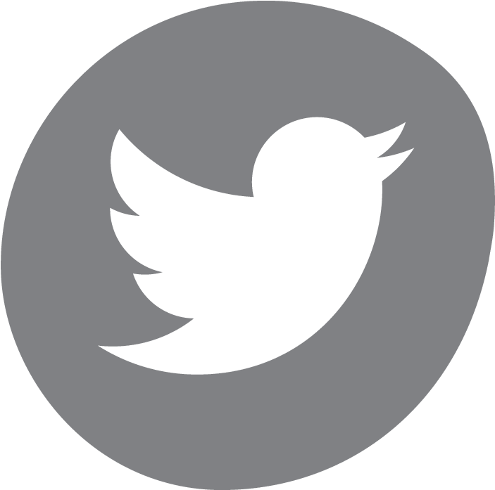 Twitter - Logo Twitter Gris Png (800x800), Png Download