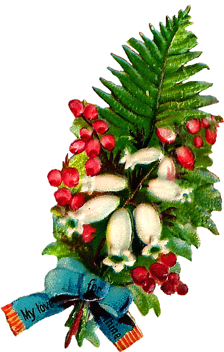 I Created This Digital Flower Clip Art From A Little - Christmas Tree (538x781), Png Download