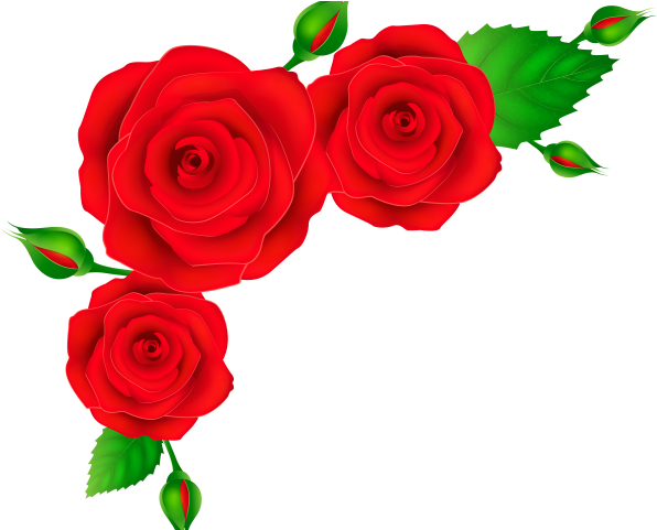 Red Rose Clipart Gothic Rose - Red Roses Corner Png (640x480), Png Download