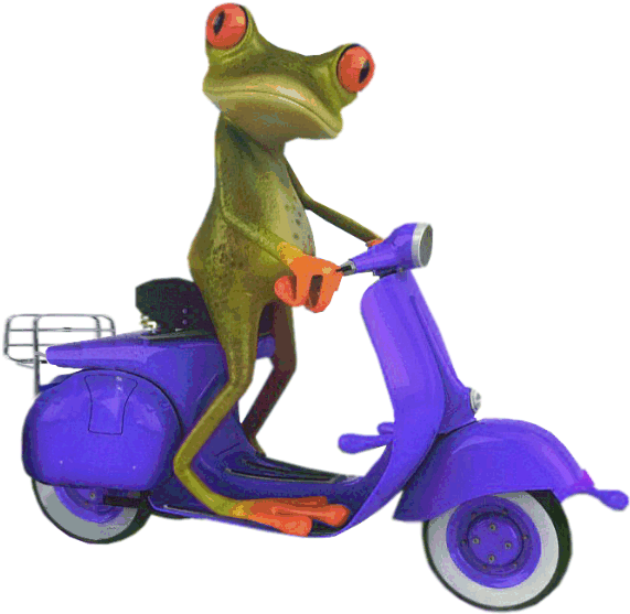 Blue Scooter Frog - Frog On Scooter Png (596x573), Png Download