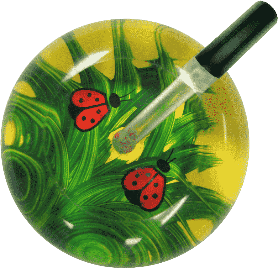Single Stethoscope - Lady Bugs - Single Stethoscope - Leaf Beetle (900x900), Png Download