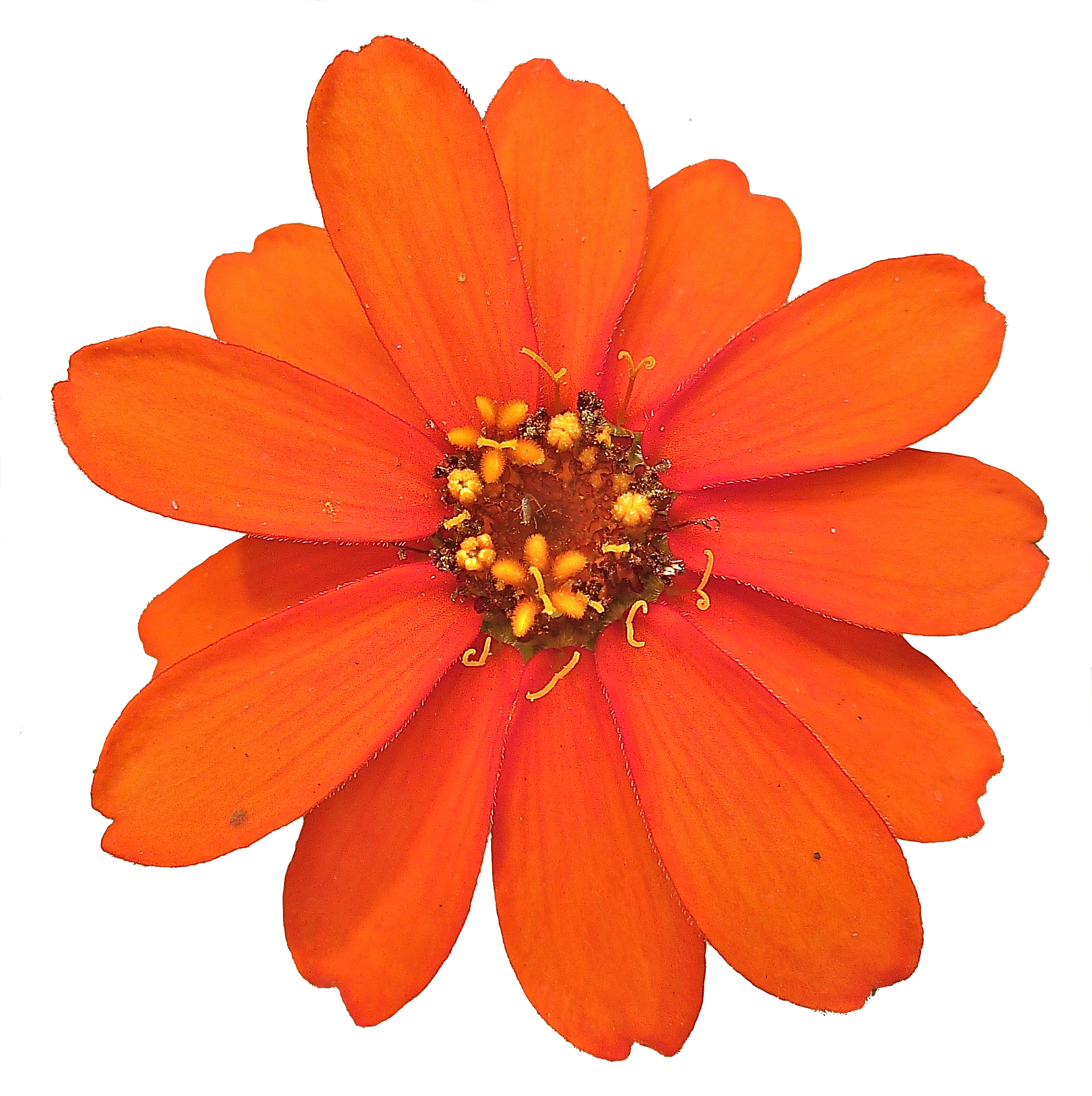 Bullet Png - Portable Network Graphics (2115x2123), Png Download