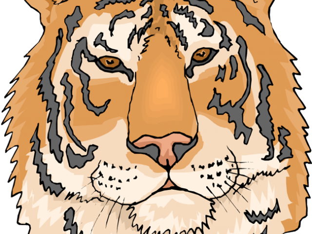 Tiger Clipart Tigre - Coloring Pages Of Tigers (640x480), Png Download
