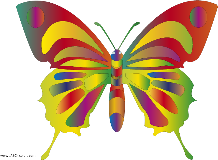 Colorful Butterflies Clipart - Butterfly Clip Art (822x567), Png Download