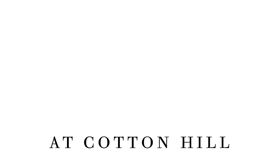 Locations - Tree (1000x600), Png Download