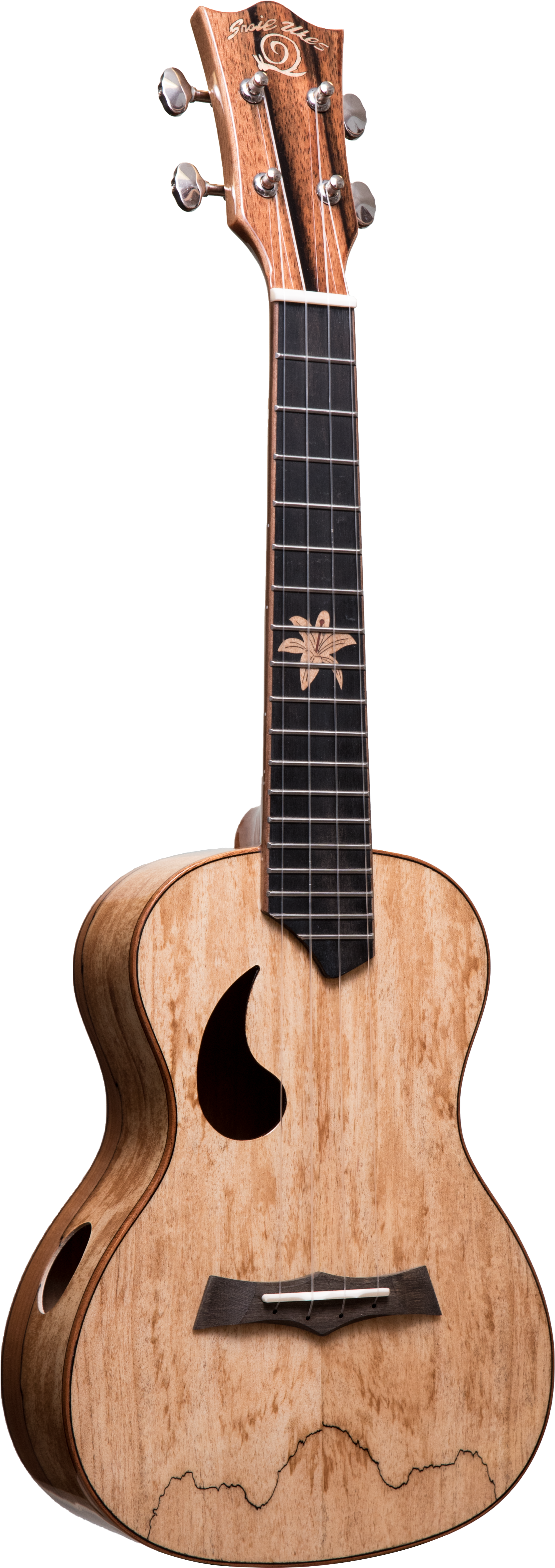 Snail Glossy - Acoustic Guitar (3915x5865), Png Download