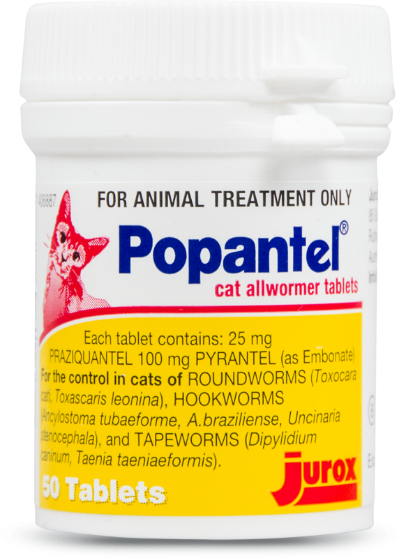 Popantel® Cat Product Image - Animal (572x800), Png Download