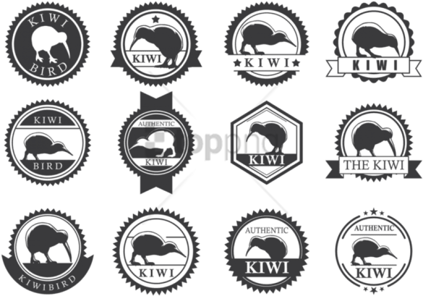 Free Png Download Kiwi Bird Vector Set Png Images Background (850x594), Png Download