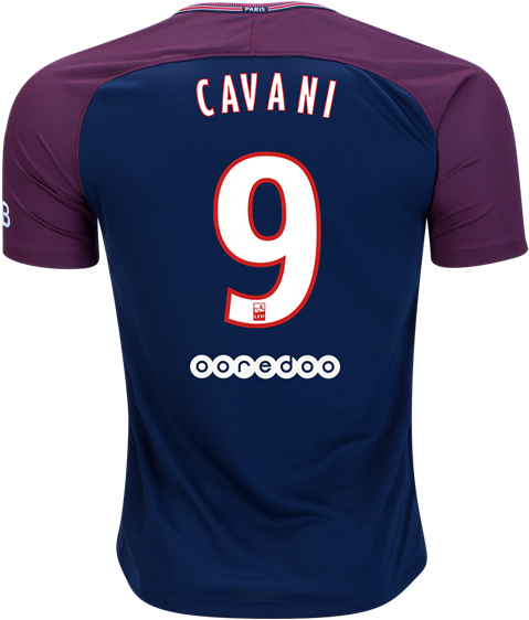 Paris Saint-germain 17/18 Home Jersey Cavani - Paris Saint-germain F.c. (600x600), Png Download