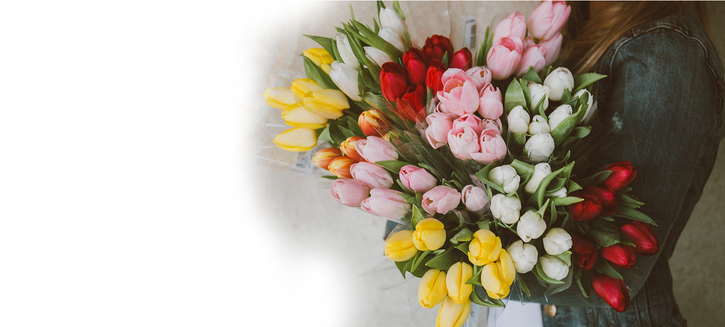 Todxqieah9m Annie Spratt - Regalo De Flores De Cumpleaños (2000x665), Png Download