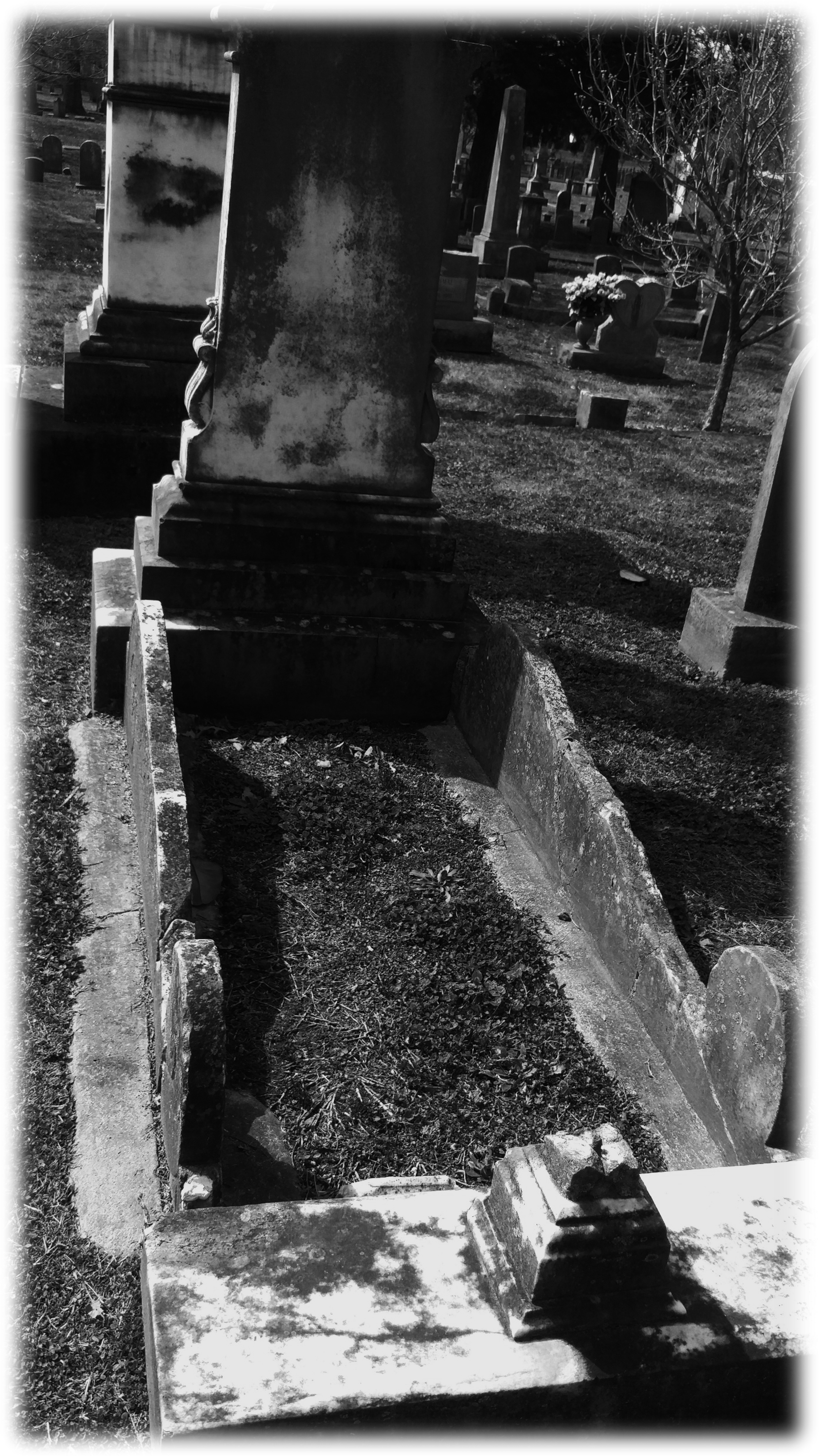 Quite Abruptly, I Received A Mere Letter From A Dear (5850x5249), Png Download