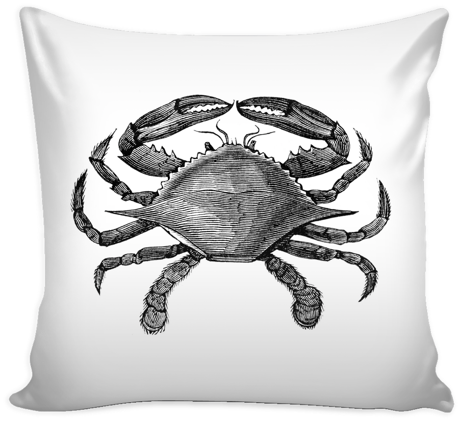 Blue Crab Pillow Cover - O Reilly Funny Cover (1024x1024), Png Download