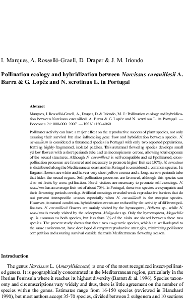 Pollination Ecology And Hybridization Between Narcissus - Het Beeld Van De Heilige Liborius Omgesmolten Tot Rijksdaalders, (482x680), Png Download
