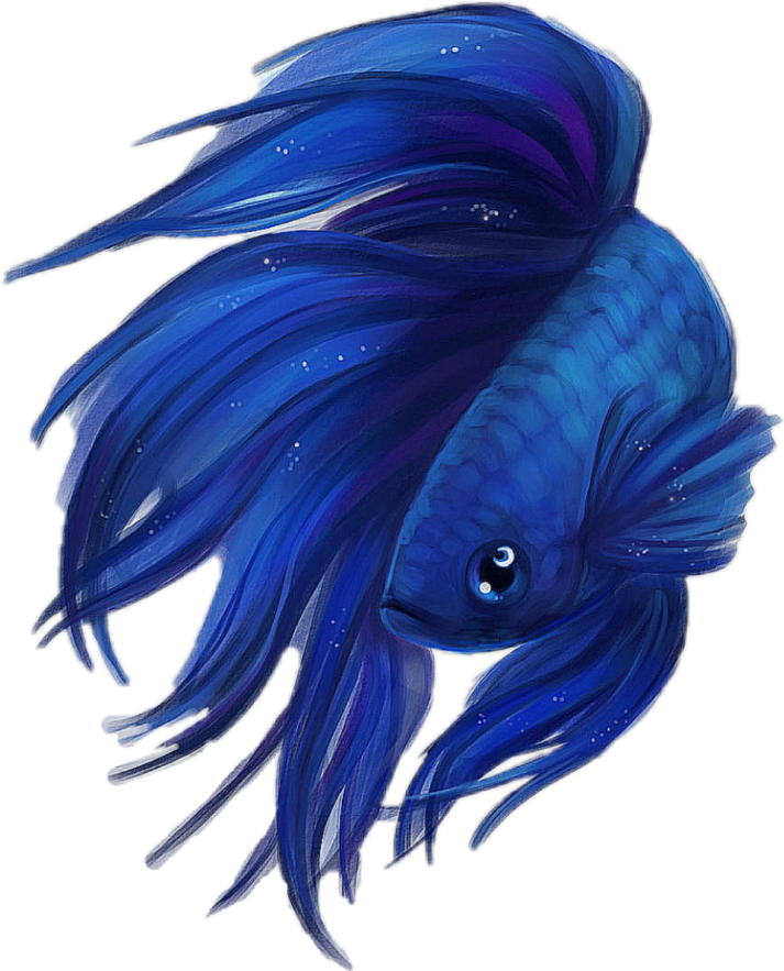 Pez Sticker - Blue Betta Fish Drawing (1024x1024), Png Download