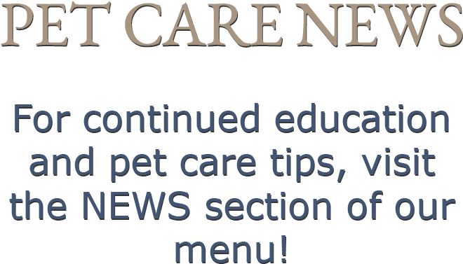 For Continued Education And Pet Care Tips, Visit The - Tan (1903x600), Png Download