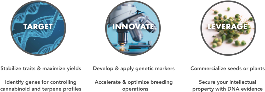 Home Page Visual V2 - Graphic Design (1000x500), Png Download