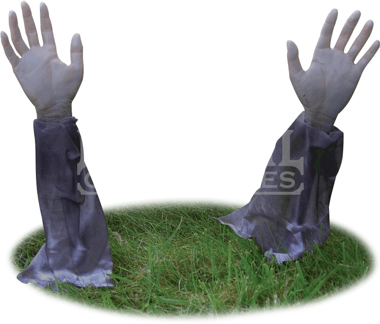 Halloween Decoration Png (774x774), Png Download