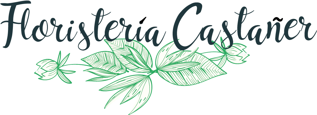 Floristería Castañer Madrid - Calligraphy (1031x448), Png Download