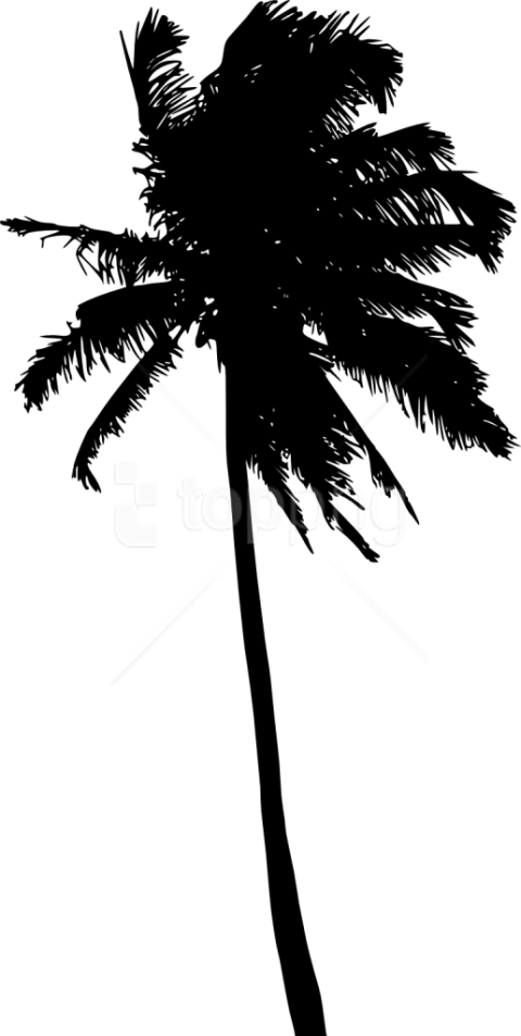 Free Png Palm Tree Silhouette Png - Palm Tree Silhouettes (480x953), Png Download