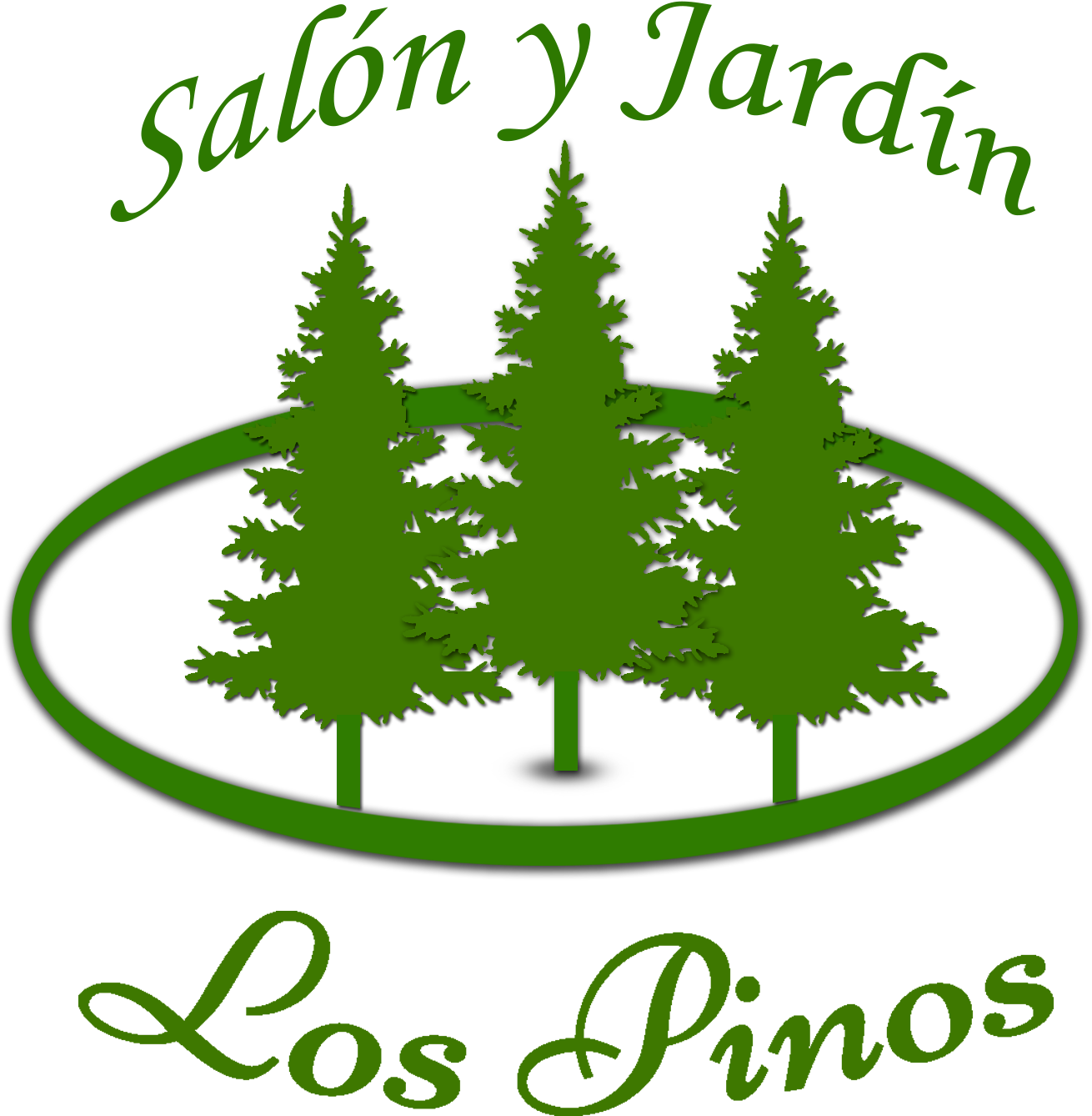 White Pine (1514x1436), Png Download