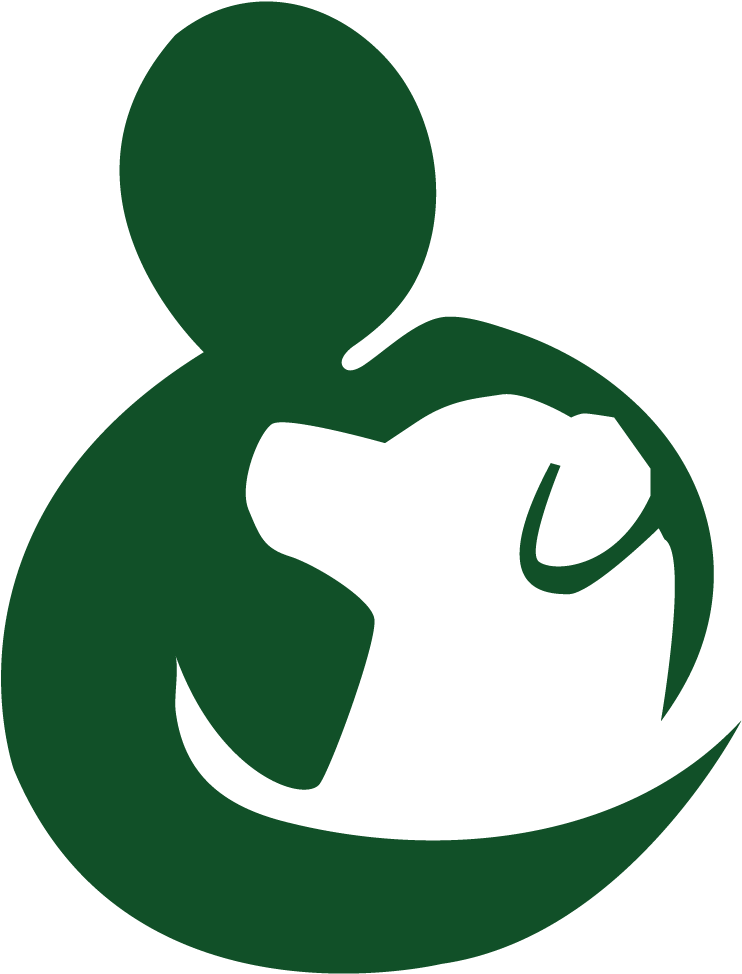 Mobility Service Dogs - Aspen Service Dog (1000x1000), Png Download