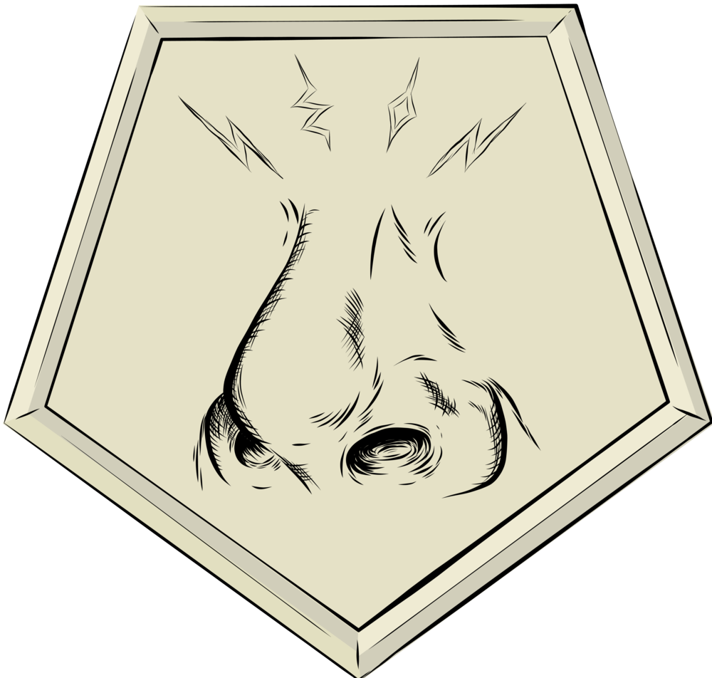 Smell@3x - Illustration (1000x952), Png Download