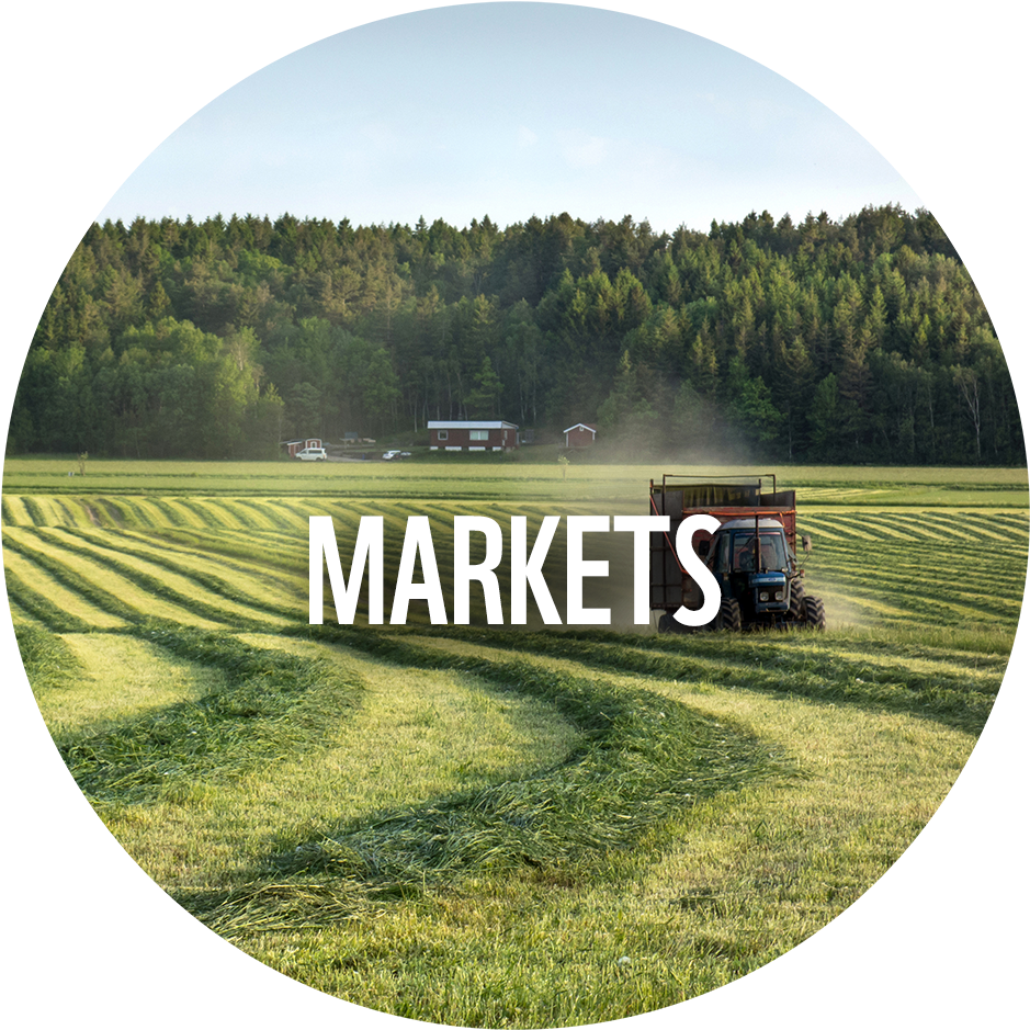 Across 3 Cross-cutting Drivers - Grass (1000x971), Png Download