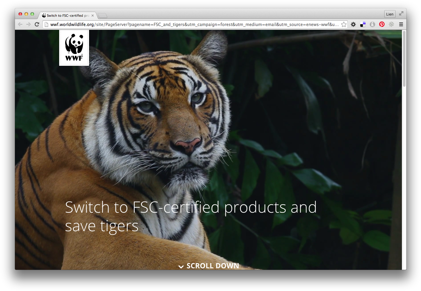 Imfa Campaign For World Wildlife Fund Explains Why - Extinction Advertising (1424x988), Png Download