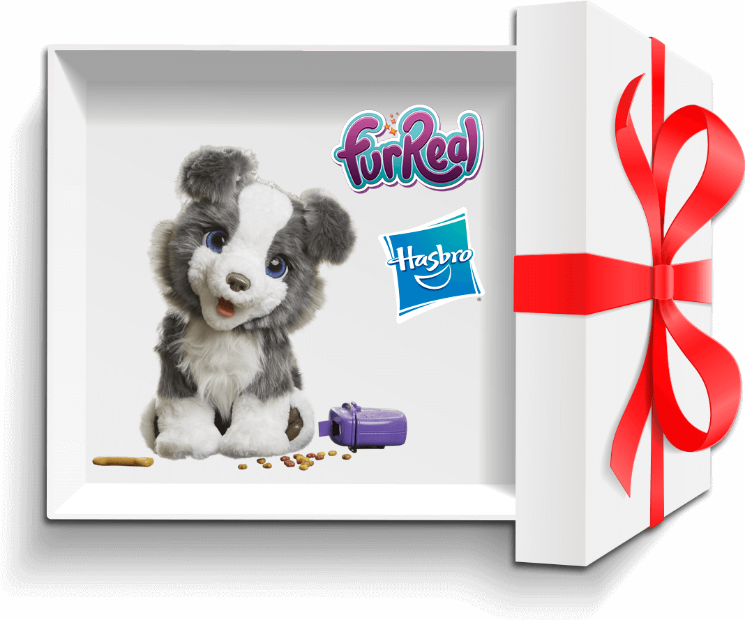 Enter Now - Dog Catches Something (1068x889), Png Download