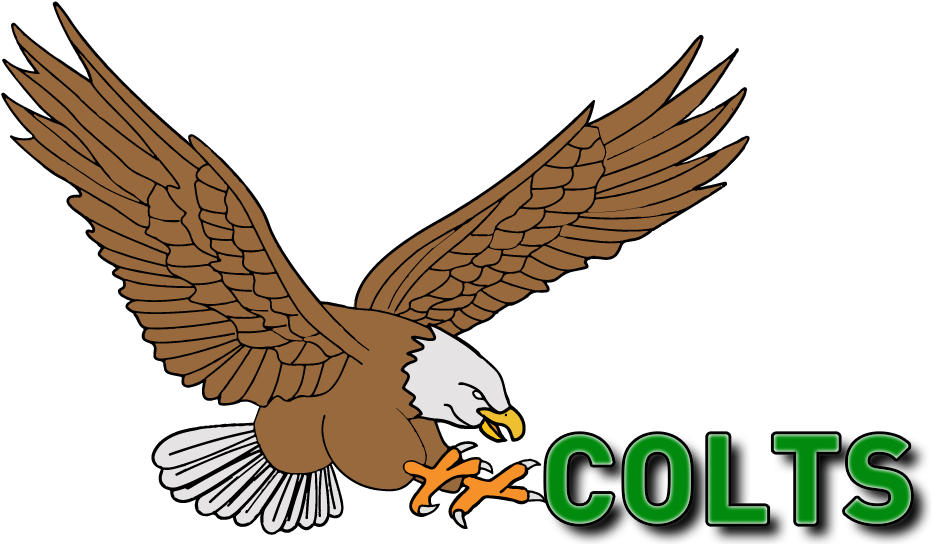Colts 7 In A Row - Golden Eagle (964x557), Png Download