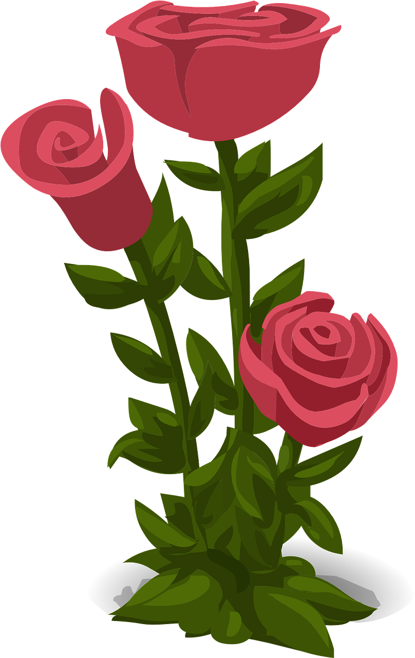 Wedding, Roses, Pink, Flowers, Floral, Nature - Hoa Hong Vector Png (808x1281), Png Download