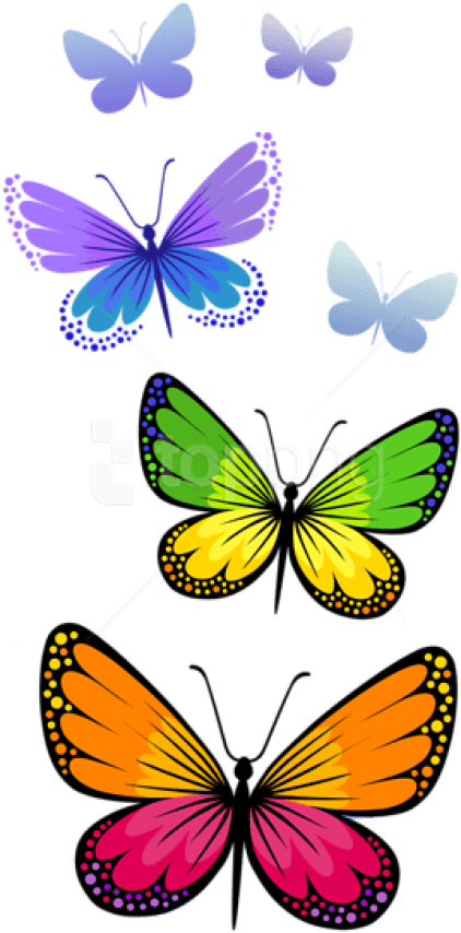 Free Png Download Butterflies Composition Clipart Png - Png Format Butterfly Clipart Png (480x942), Png Download