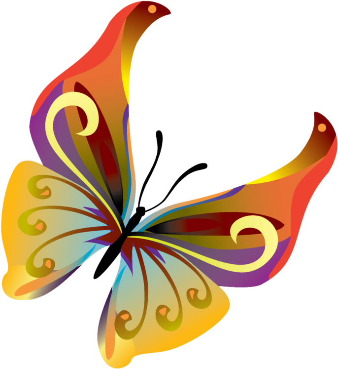 Butterflies Vector Png Transparent Image - Butterfly Vector Transparent (800x800), Png Download