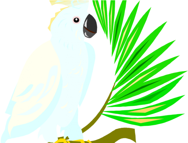 Parrot Clipart Green Parrot - Sulphur-crested Cockatoo (640x480), Png Download