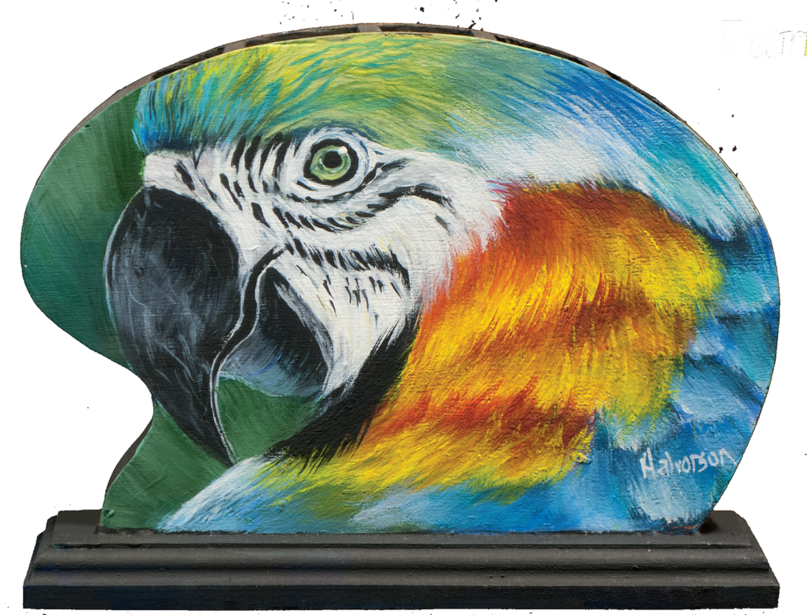 1 - - Macaw (1153x879), Png Download