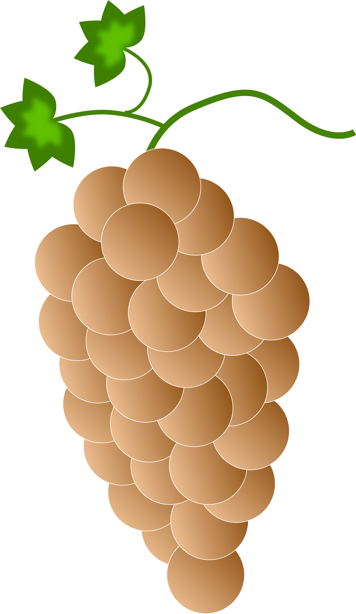 This Free Icons Png Design Of Orange Grapes (1368x2356), Png Download