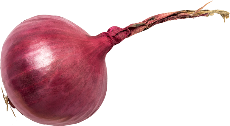 Red Onion (866x650), Png Download